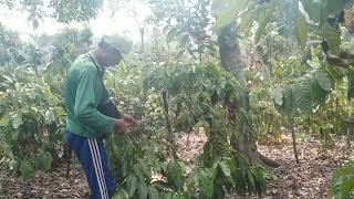 Bertualang inilah caraku merawat kebun setelah pulang berkunjung tepat teman