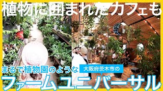 まるで植物園のようなファームユニバーサル(the Farm UNIVERSAL)。世界中の植物やガーデニング雑貨、さらにオシャレなカフェや動物とも触れ合える大阪府茨木市の注目スポット。