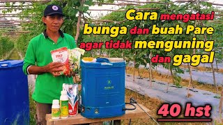 Cara mengatasi bunga dan buah pare agar tidak menguning dan gagal || Pare HOKIAN