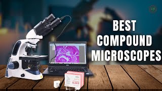 Top 5 Best Compound Microscopes in 2023