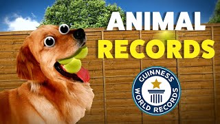 Animals breaking world records! | Guinness World Records