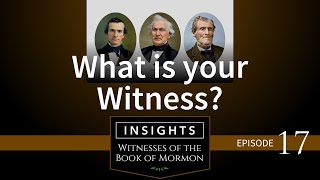 Episode 17: What is your Witness?