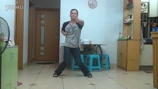 Shunde Wing Chun 顺德永春 - Taming the Tiger, Siu Lim Tao, Chum Kiu