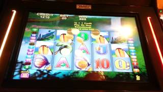 Genie's fortune bonus play at Harrah's Rincon