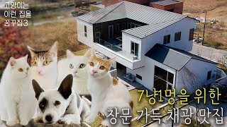 [ENG] 유기묘를 위한 햇살 맛집🌞 너 내 집사가 되라!ㅣ고생 끝! 행복 시작이야ㅣ고꿈집3 with @아리랑은고양이들​