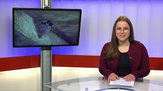 ems TV News I 24.04.2024