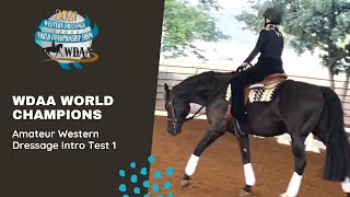 2021 WDAA Western Dressage World Champions Intro Test 1 Amateur, JamieLynne Weiss and “Vino”