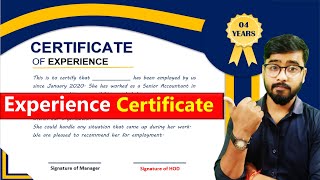 Experience Certificate Kaise Banaye | Experience Certificate Format in MS Word