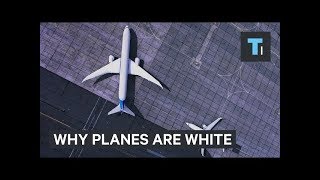 Here's why most planes are white