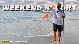 Fishing this weekend? All You Need to Know! Your Best Damn Surf Fishing Report! 10/18/24