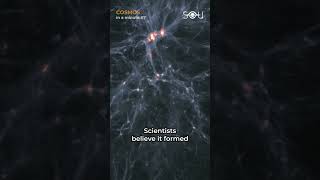 Meet the Saraswati Supercluster | Cosmos in a minute #7