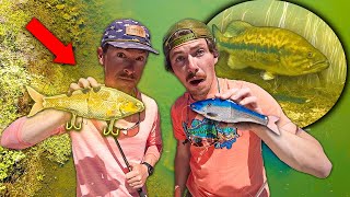 Ultra CLEAR WATER BED FISHING with $1,000 LURES! ( 2v2 CHALLENGE )