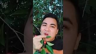 natural and organic fruit cherry 🍒 #shortvideo #viralvideo #viral