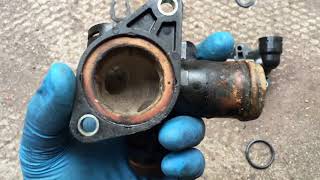 2007 B7 Audi A4 2.0L ALT - Coolant Flange Replacement