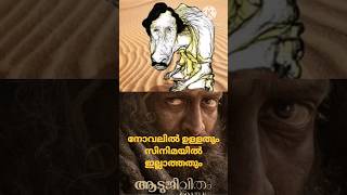 ആടു ജീവിതം നോവലിൽ ഉള്ളതും സിനിമയിൽ ഇല്ലാത്തതും I Aadujeevitham MovieShortReview Part 4| #prithviraj