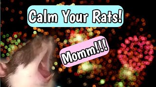 How To Keep Your Pet Rats Calm During The 4th Of July!