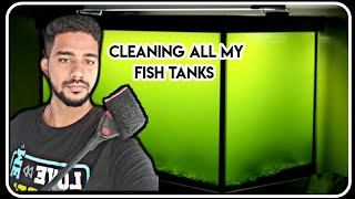 Aquarium Cleaning Day | 20 Tanks in 30 min | Pets and Life