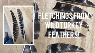 Processing Wild Turkey Feathers Into Fletchings