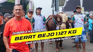 Sapi Bejo Naik 20KG Jadi 1.127 KG Sabet Juara 2 Kelas P2 | Kontes APPSI Piala MPR RI Kemayoran