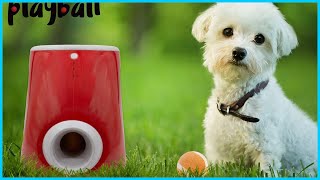 Top 5 Best Automatic Ball Launchers in 2022 Reviews