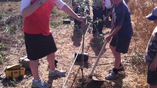 Planting In Tifrah near Beer Shevah Southern Israel