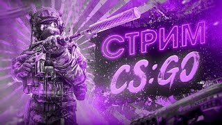 Вечерние похождения в Counter Strike