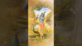 Calling out SRIMATI RADHARANI!#devotionalsong #Hare Krishna #