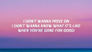 when you're gone Shawn Mendes (Lyric Video)