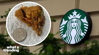 TikToker Claims She Found GRASSHOPPER in Starbucks Pumpkin Loaf