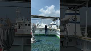 Kapal sandar #kapal #tiktok #pelaut #shortvideo #viral