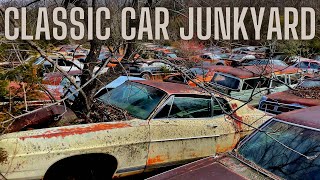 Massive CLASSIC CAR Junkyard