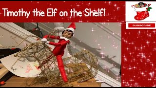 The Elf on the Shelf with Madame T! 😎