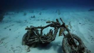 Motorcycle Reef - Akumal Mexico