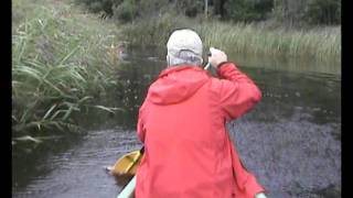 Paddling down the Lemmjogi river.AVI