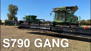 Cutting beans with TWO John Deere S790 combines