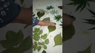 BAJU BATIK ECO PRINT YANG CANTIK DICETAK DARI DAUN ASLI  COCOK BUAT LEBARAN DAN PESTA