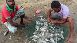 fishing  new  Ceylon Fish TV