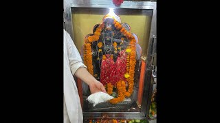 🔴 Live Sudh Mahadev Darshan 2024