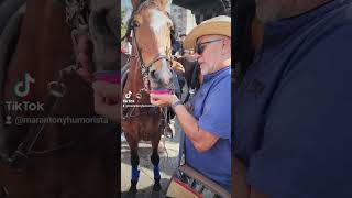 "GALLETA" EN LA CABALGATA DE MANIZALES...(521)