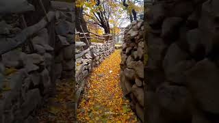 colourful autumn in the town Khaplu ❤️