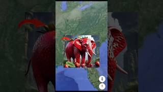 Strawberry Elephant 🐘 On Google Earth 🌎 & Google Maps #shorts #earthmystery #ytshorts