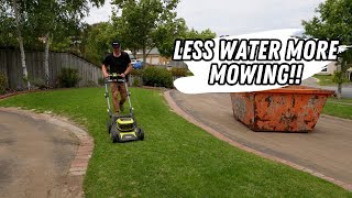 Lawn renovation recovery: less watering and transitioning to cylinder mowing