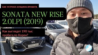 Авто из Кореи. SONATA NEW RISE 2.0  LPI 2019.Реальный пробег 190 тыс.