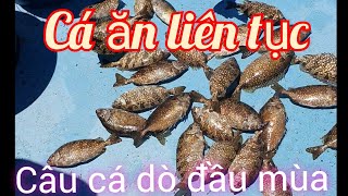 Câu cá dò Tập 1