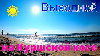 Выходной на Куршской косе