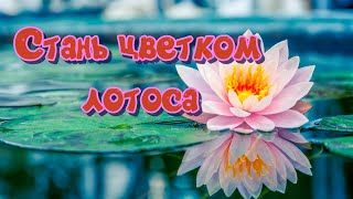 Сутра о Цветке Лотоса Чудесной Дхармы. Громкие звуки во сне. Как трактовать стихи Омара Хайама.