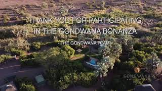 Gondwana Bonanza 2022