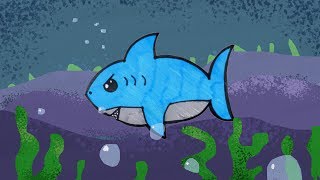 How To Draw Shark Step by Step | Shark Drawing Simple | Easy Shark Drawing Steps