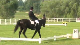 Dressage and Show Jumping - Bruce and Gamble - Cedar Run, August 2011