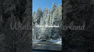 Winter Wonderland